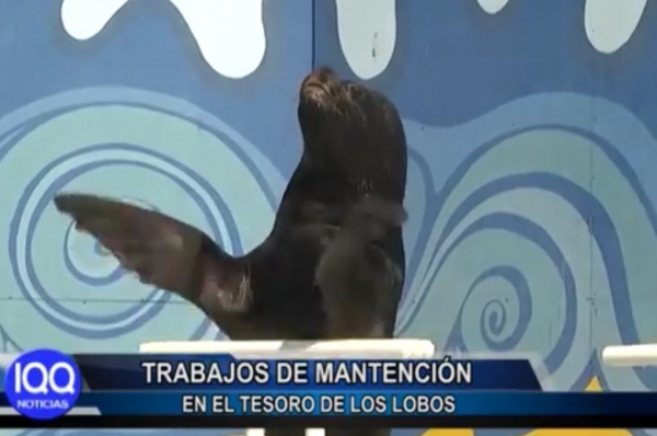 TRABAJOS DE MANTENCI&Oacute;N EN EL TESORO DE LOS LOBOS