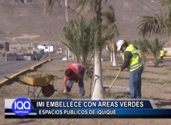 IMI EMBELLECE CON &Aacute;REAS VERDES ESPACIOS P&Uacute;BLICOS DE IQUIQUE